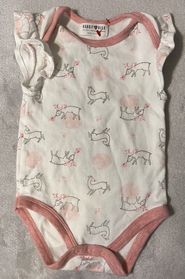 Rabbit + Bear / An Emily and Oliver Brand / Organic / Nordstrom / Estimated 6 months / Great Condition